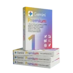 Gemini Advance